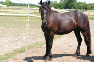 Click for full size image